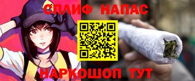 прущие грибы Можайск