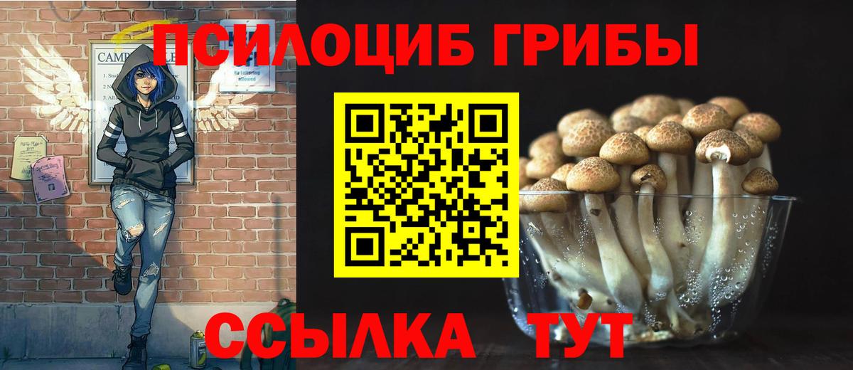 Галлюциногенные грибы Cubensis  Вход с VPN  Ишим  Псилоцибиновые грибы мухоморы 